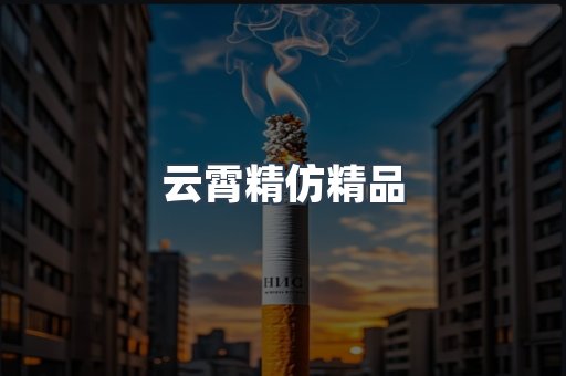 云霄精仿精品